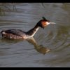 20120329_073